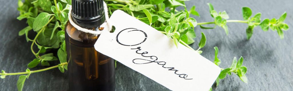Oregano Oil & Your Gut