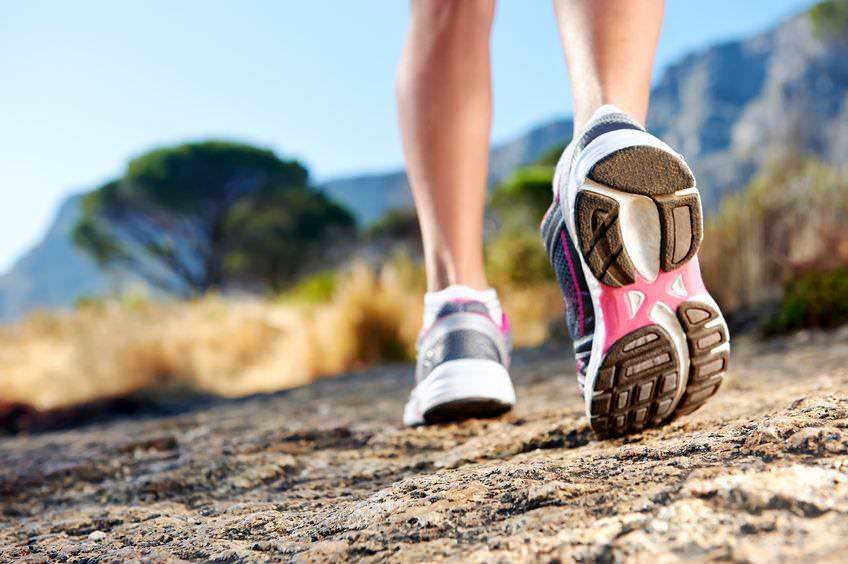 High Performance Weight Loss