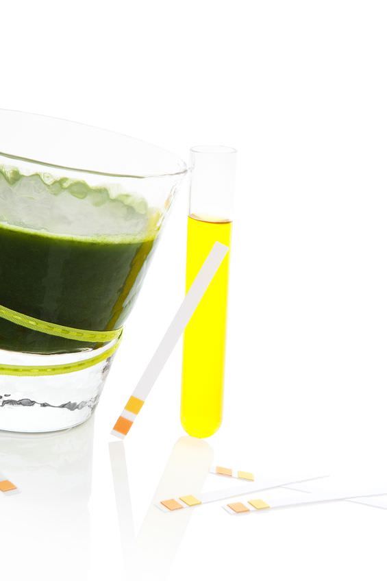 Alkalinity: the scoop!